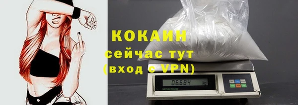 гидра Ахтубинск