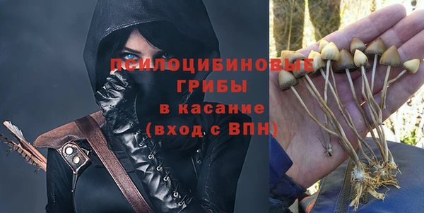 гидра Ахтубинск